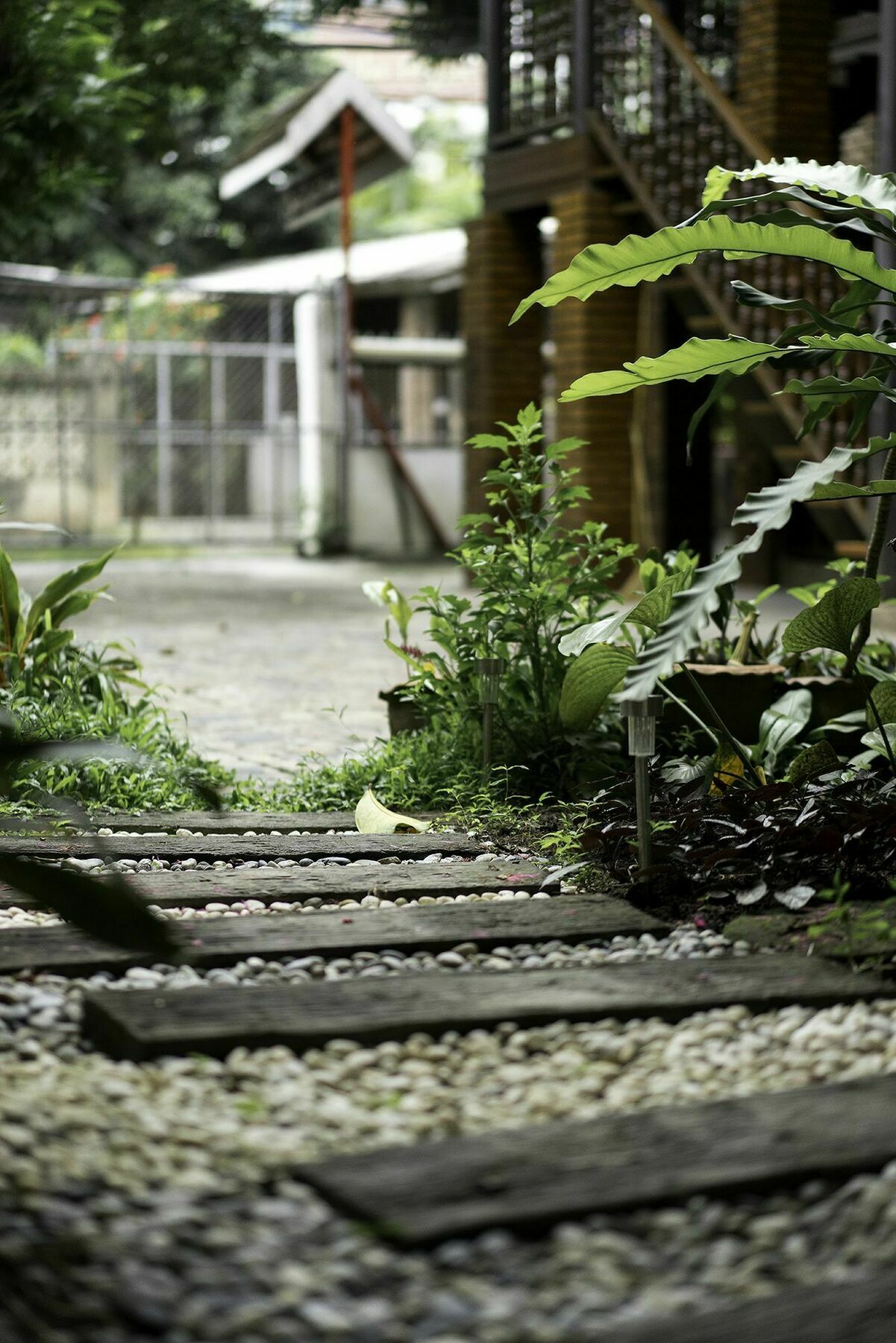 Sarah Guest House Chiang Mai Exterior foto